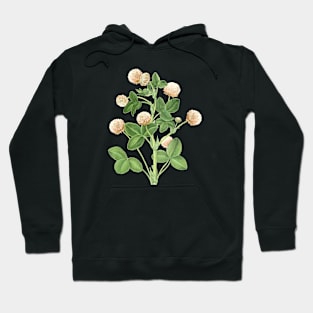 Clover Plant Illustration Hoodie